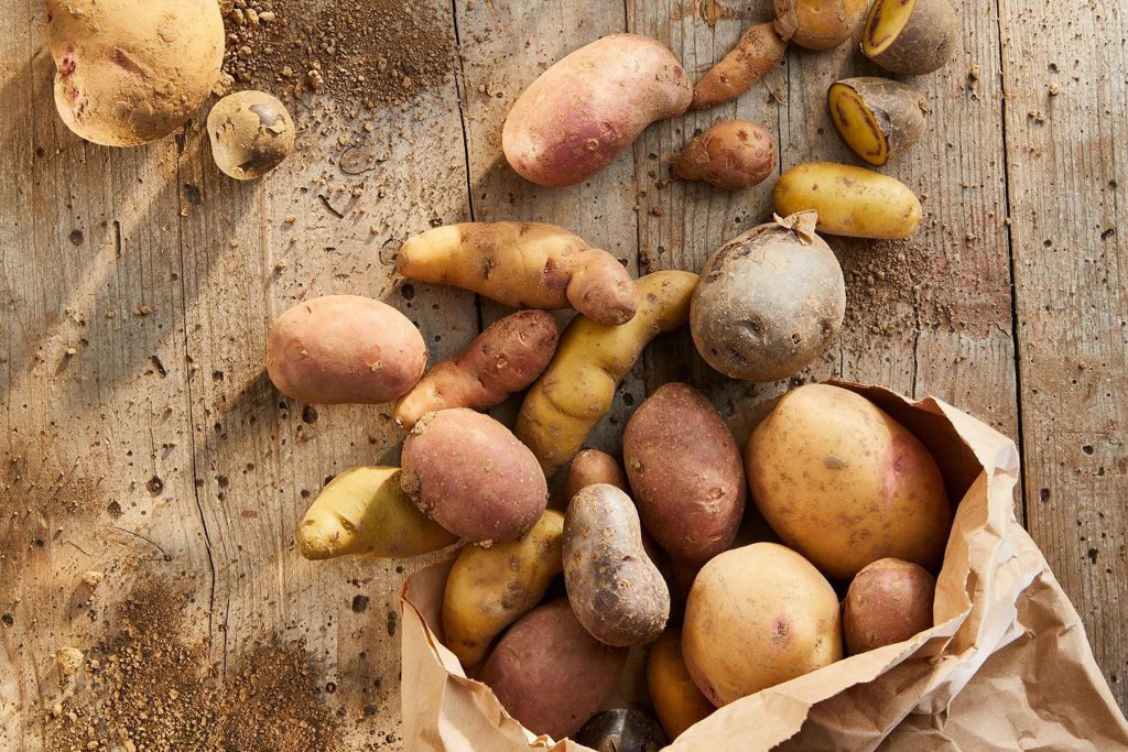 Marktschwärmer, Kartoffeln – ©Kartoffelkult