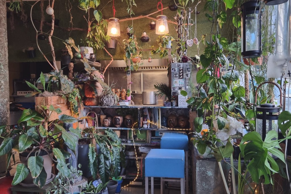 Asia Jungel Koeln 1 Artikel &ndash; &copy;Phong Lan