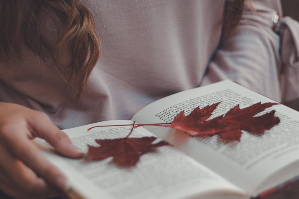 Herbst Buch Koeln 1 Artikel – ©Pexels