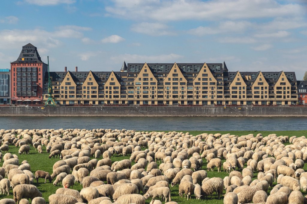 Scharfe Koeln Wochenende Koeln 1 Artikel &ndash; &copy;Pixabay