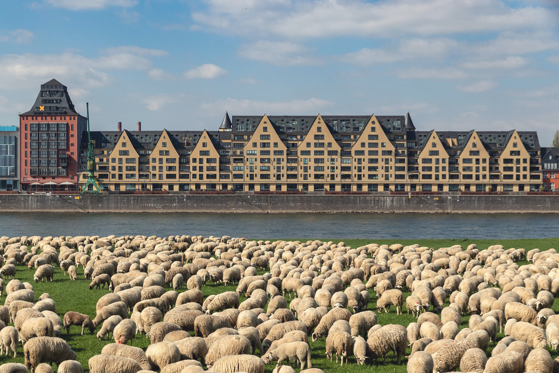 Scharfe Koeln Wochenende Koeln 1 Artikel &ndash; &copy;Pixabay