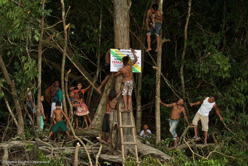Munduruku And Greenpeace Demarcate Indigenous Lands In The Amazon Munduruku E Greenpeace Demarcam Terra Indígena Na Amazônia.