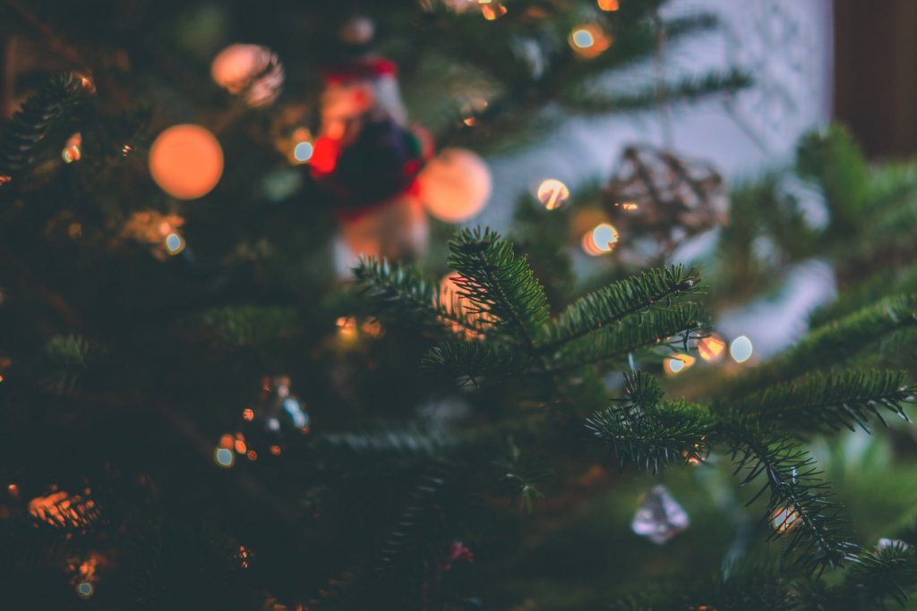 Baum Weihnachten Bunt Koeln – ©Pexels