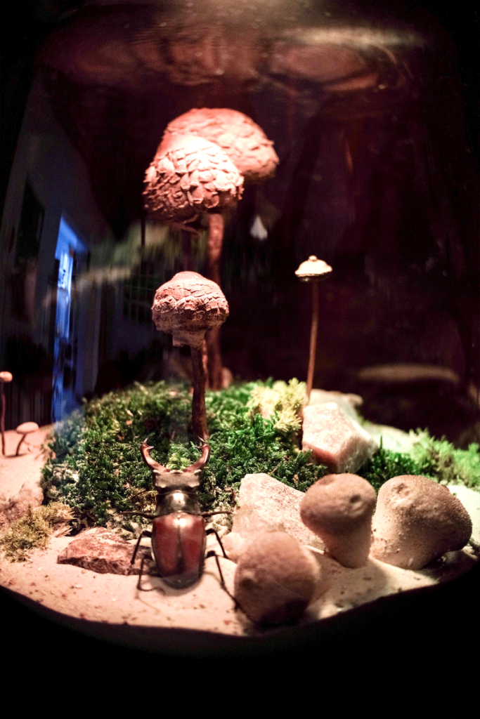 Pop8 Koeln 2 Artikel 1200x1800