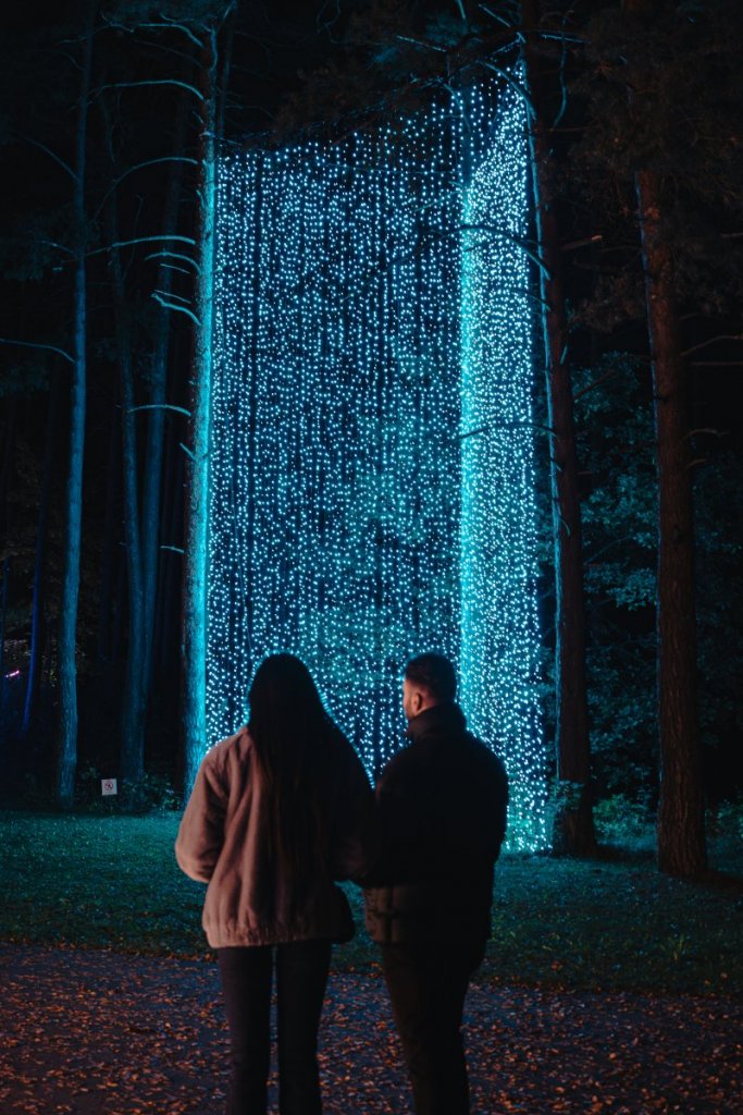 Garden Of Lights 12 – ©Garden of Lights