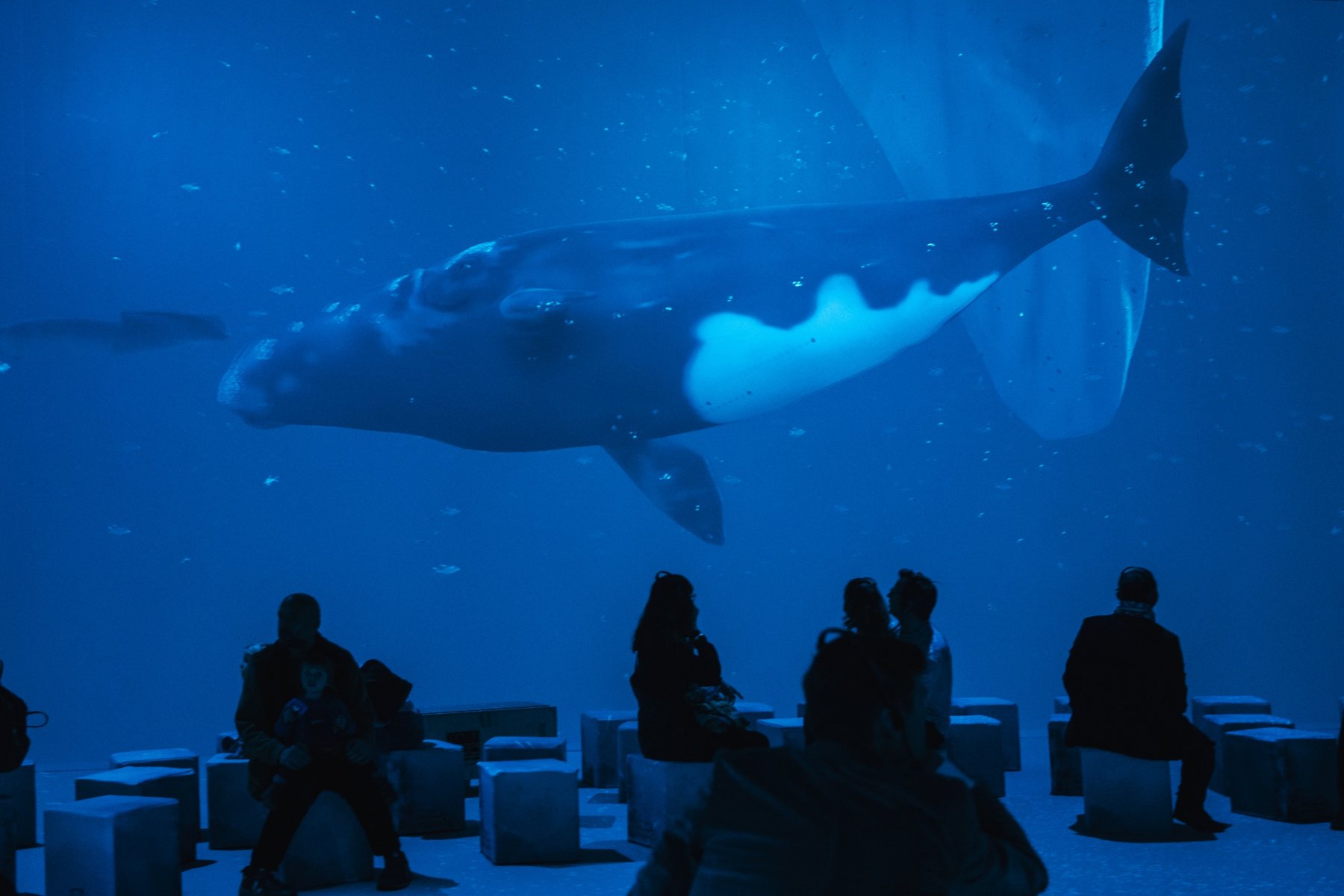 Photo Polar Experience 360 Projektion Credit Clara Marnette &ndash; &copy;Clara Marnette